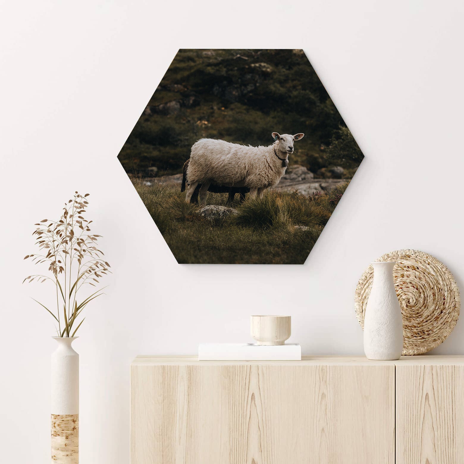Muur hexagons Schaap 5