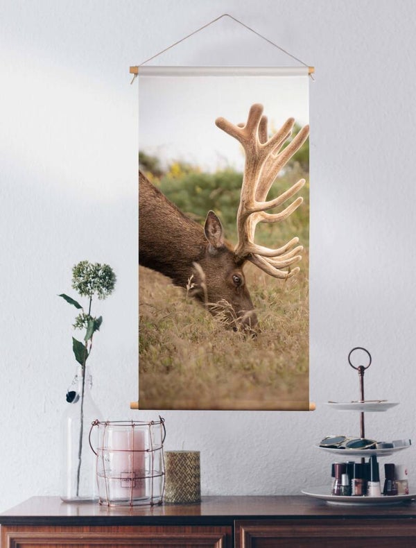 Texielposter Hert
