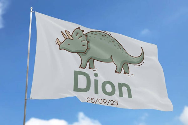 Geboorte Vlag Dion