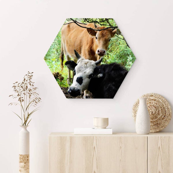 Muur hexagons Koeien