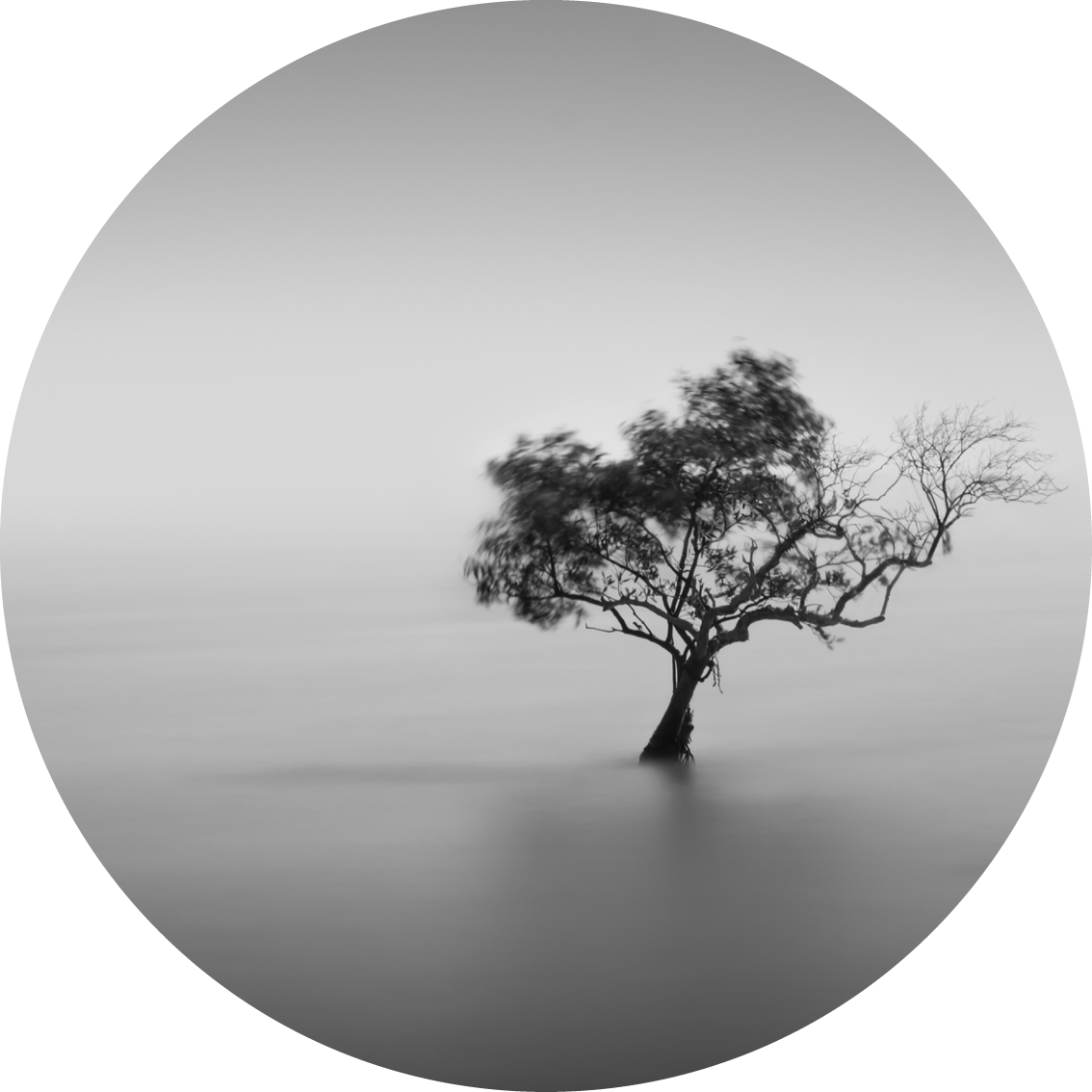 Muurcirkel zwart wit 7