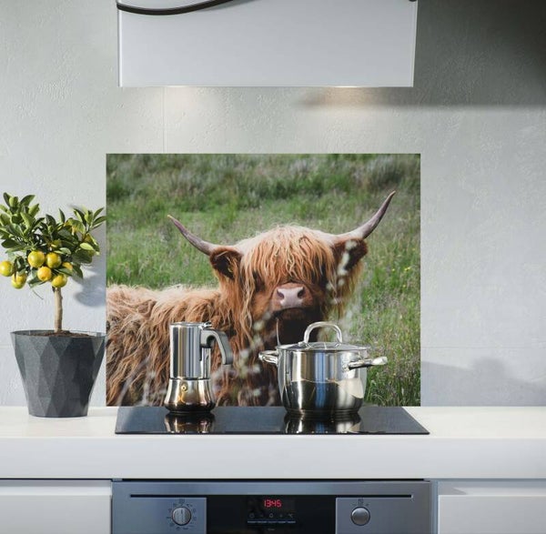 Spatscherm Hooglander 9