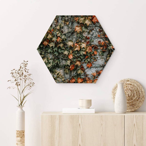Muur hexagons Muur Bladeren
