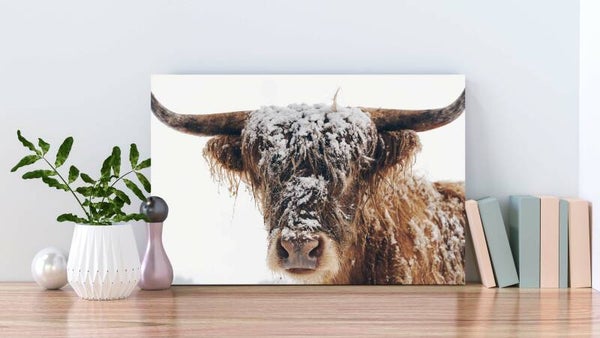 Canvas liggend Hooglander 2