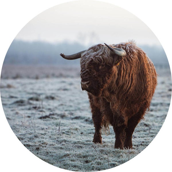 Muurcirkel Hooglander 29