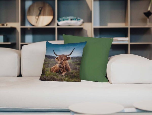 Sierkussen Hooglander 2