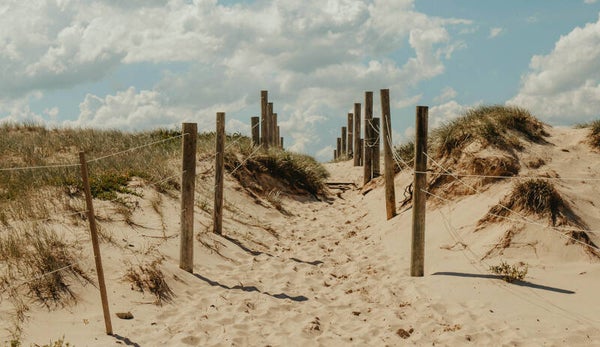 Inductie beschermer Duin 3