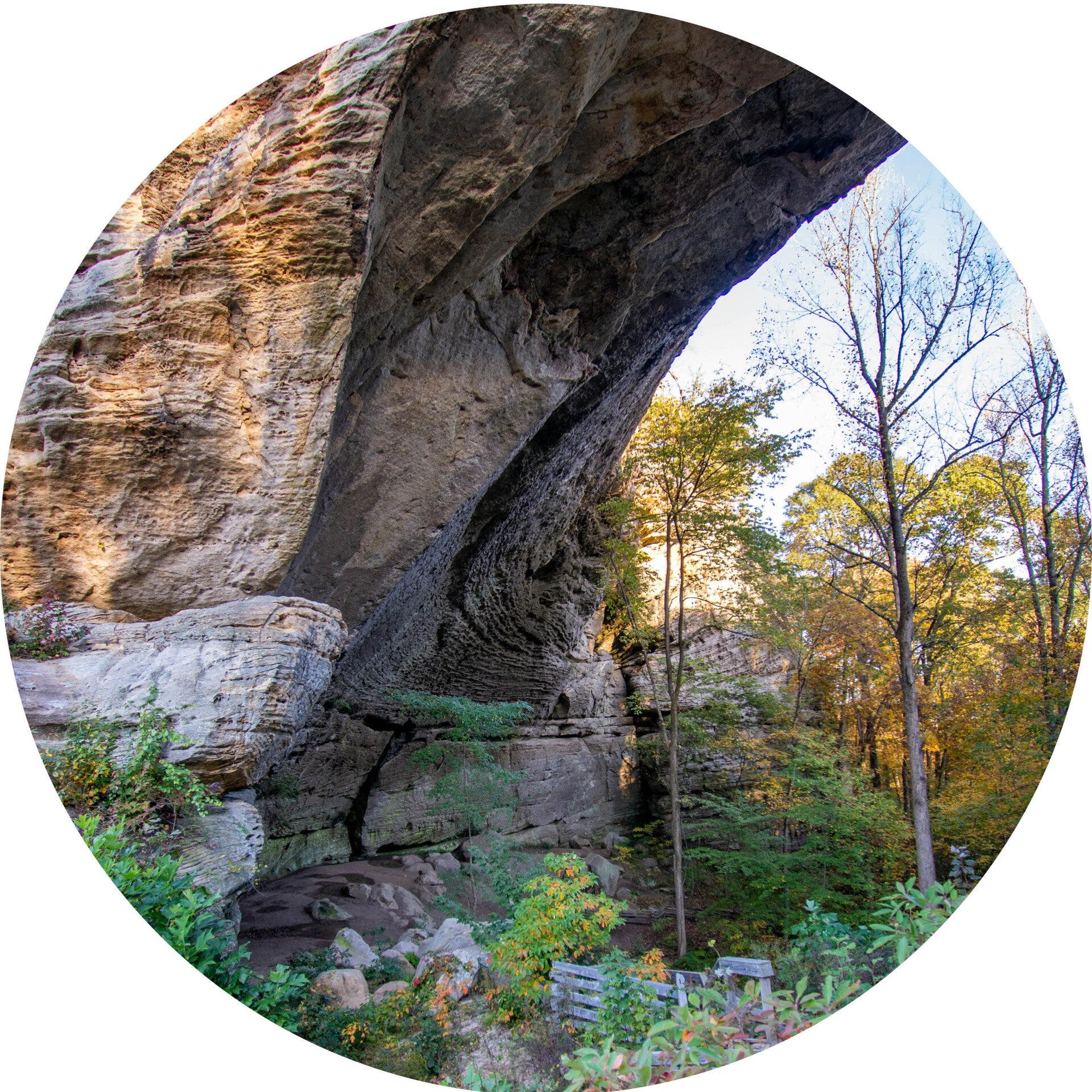 Muurcirkel natuur 26