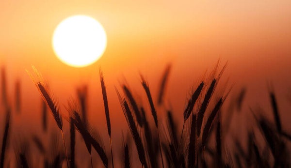 Inductie beschermer Zon