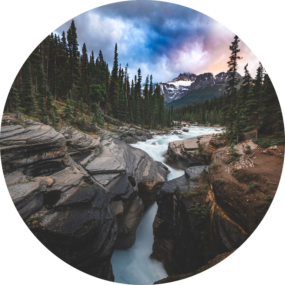 Muurcirkel natuur 17