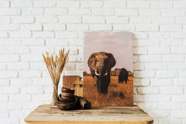 Canvas staand Olifant