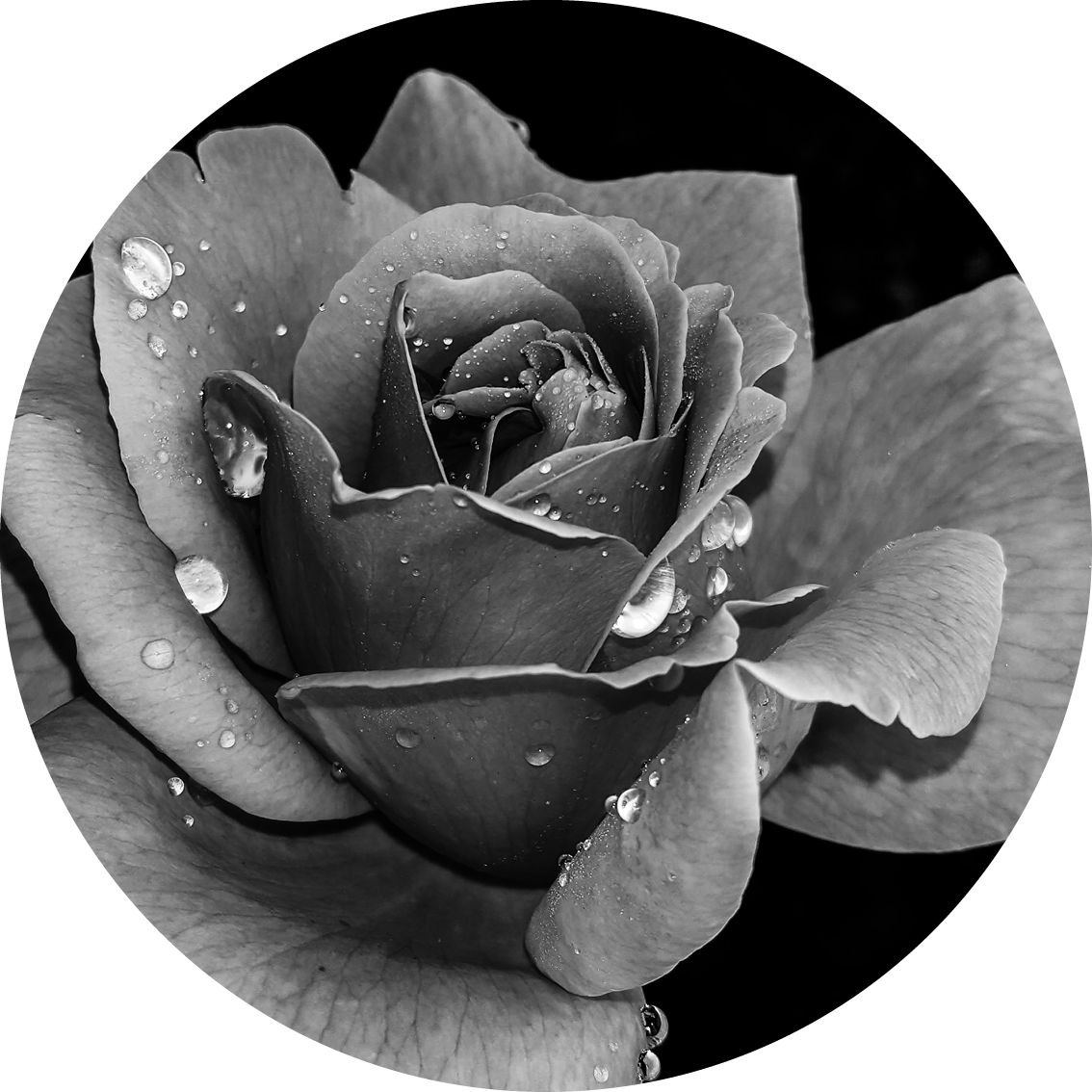 Muurcirkel zwart wit 8