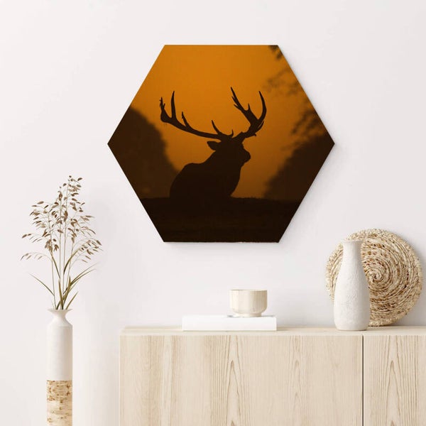 Muur hexagons Herten Silhouet