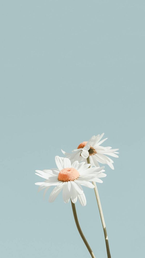 Tuinposter Witte Bloemen