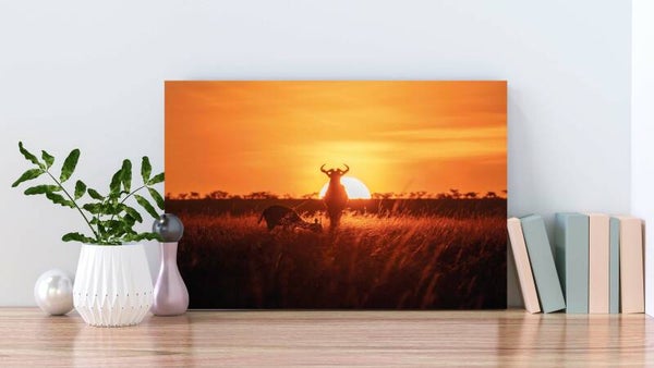 Canvas liggend Zonsondergang