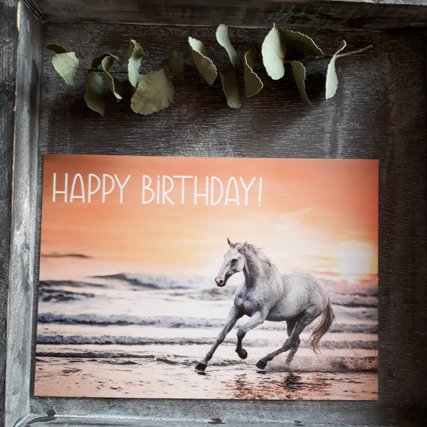 Happy Birthday (Pferd im Sonnenuntergang), ohne Couvert