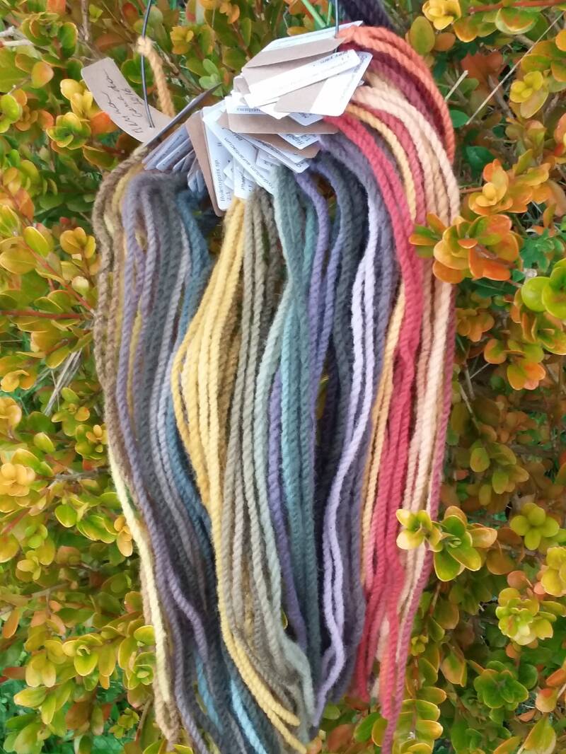 Coulours of the Symposium 2016