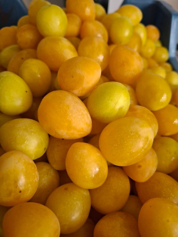 Gele kerspruim met Sauternes 230 ml