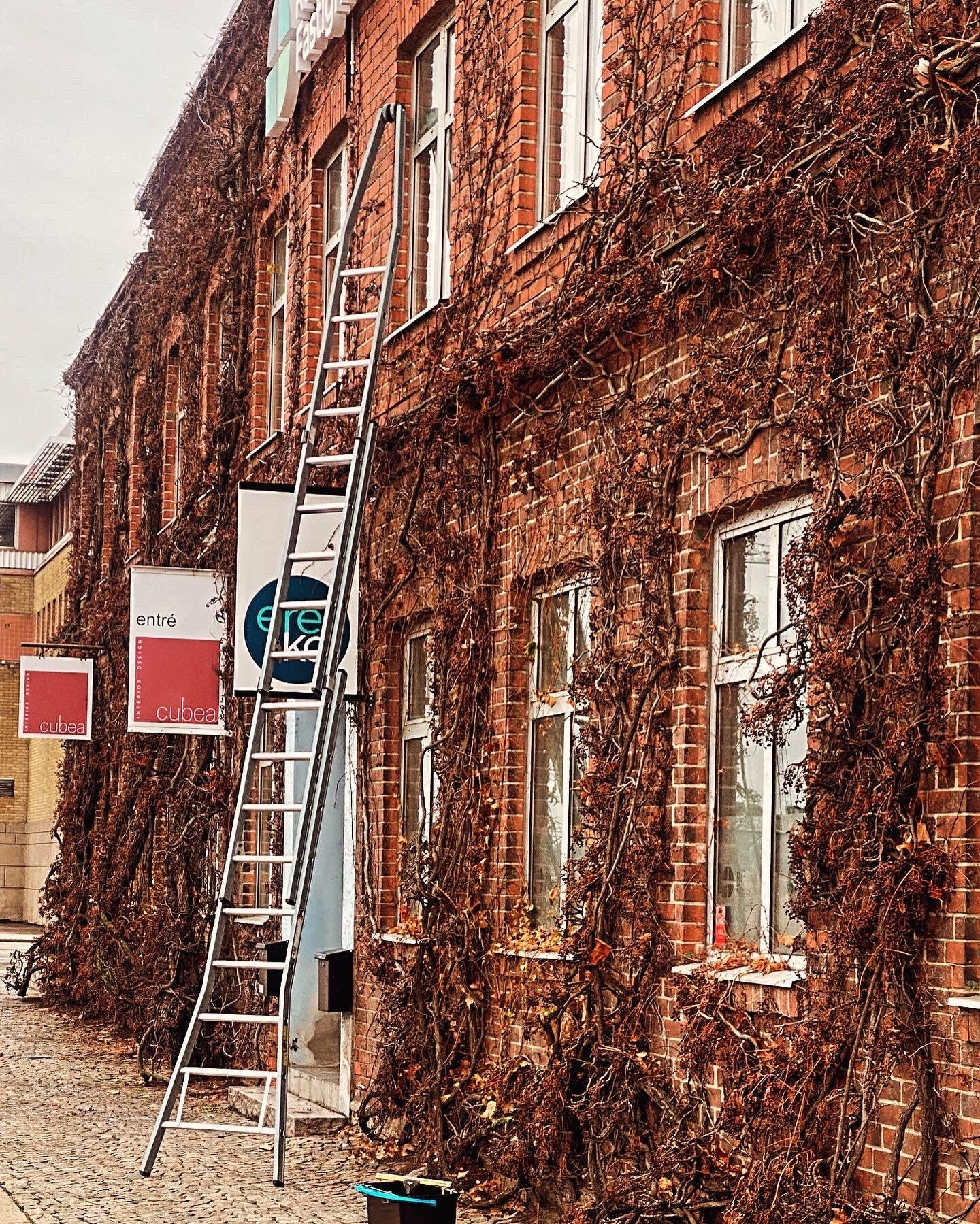 Fönsterputs för företag, Prisvärd fönsterputs