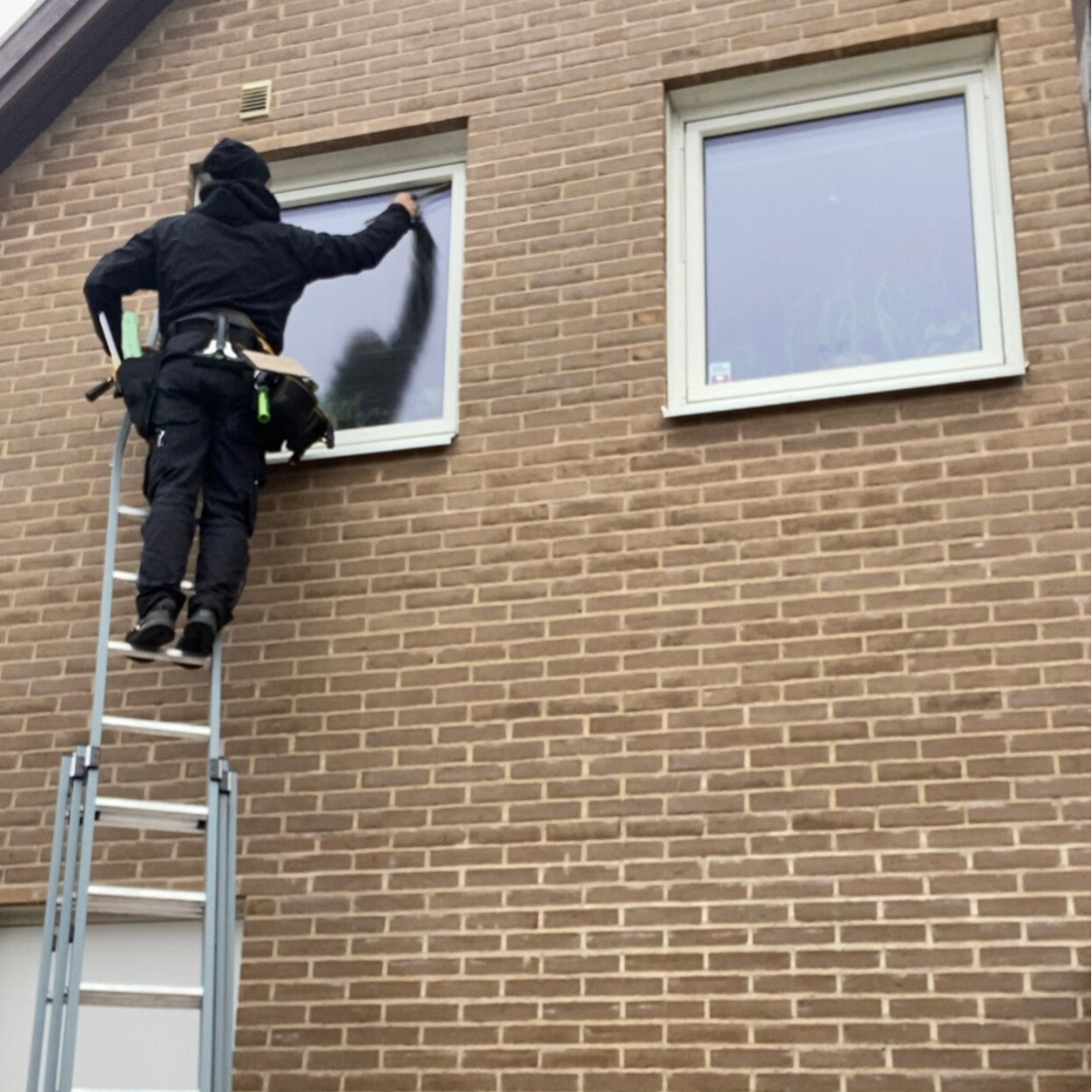 Fönsterputs i Malmö