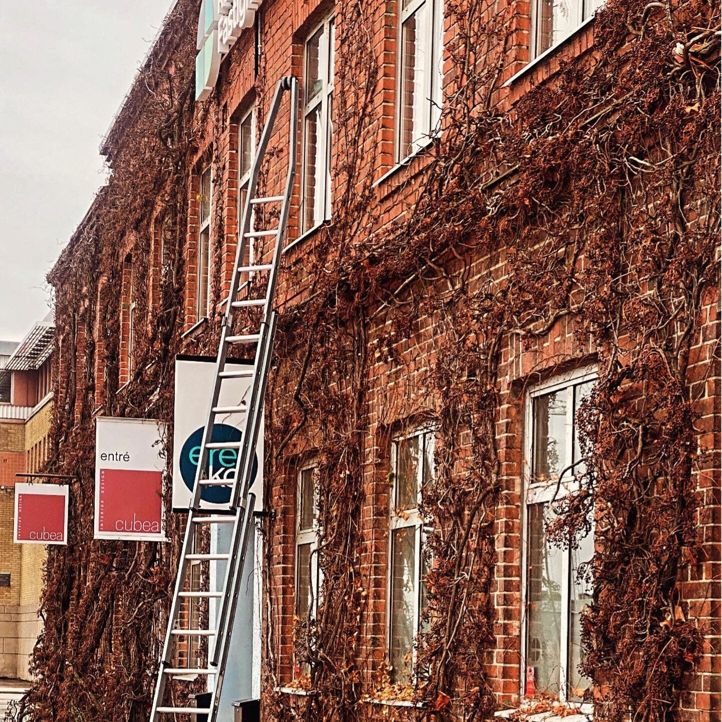 Fönsterputs för företag, Prisvärd fönsterputs