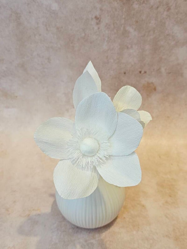 Monochroom 14 let op!