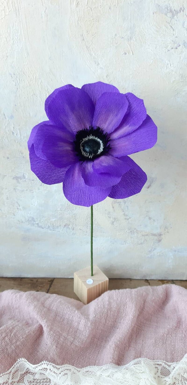 Mix & Match Anemoon 2