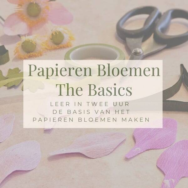 Workshop The Basics Zaterdag 28 November 9.30u - 11.30u