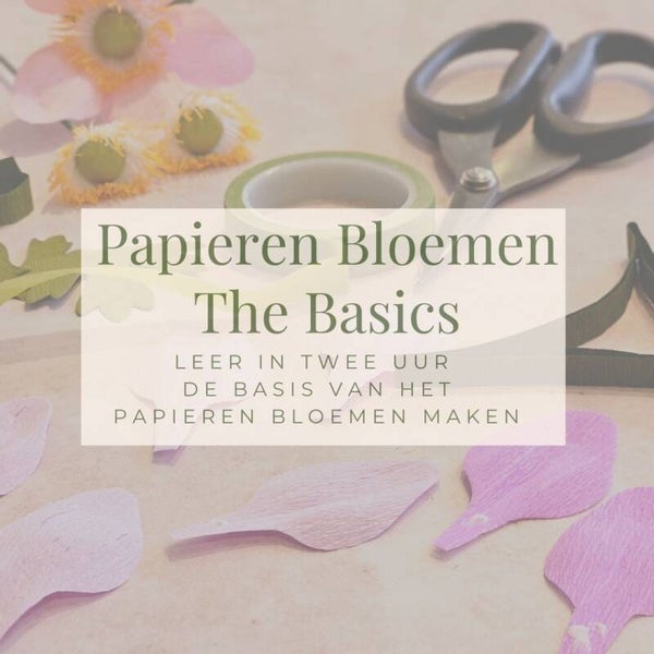 Workshop: The Basics Zaterdag 1 Augustus 10.00u - 12.00u