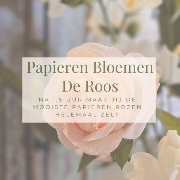 Workshop Roos Donderdag 8 Januari 19.00u - 20.30u