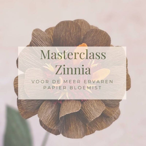 Workshop: Masterclass Zinnia Zondag 9 Augustus 10.00u - 12.30