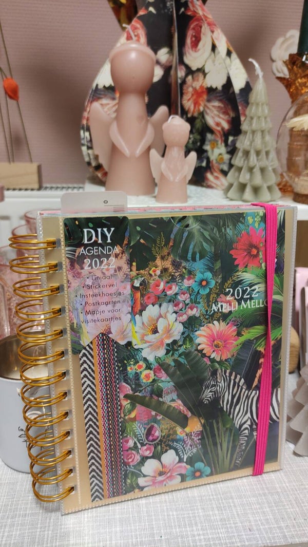 Melli mello diy agenda anoukbohmer