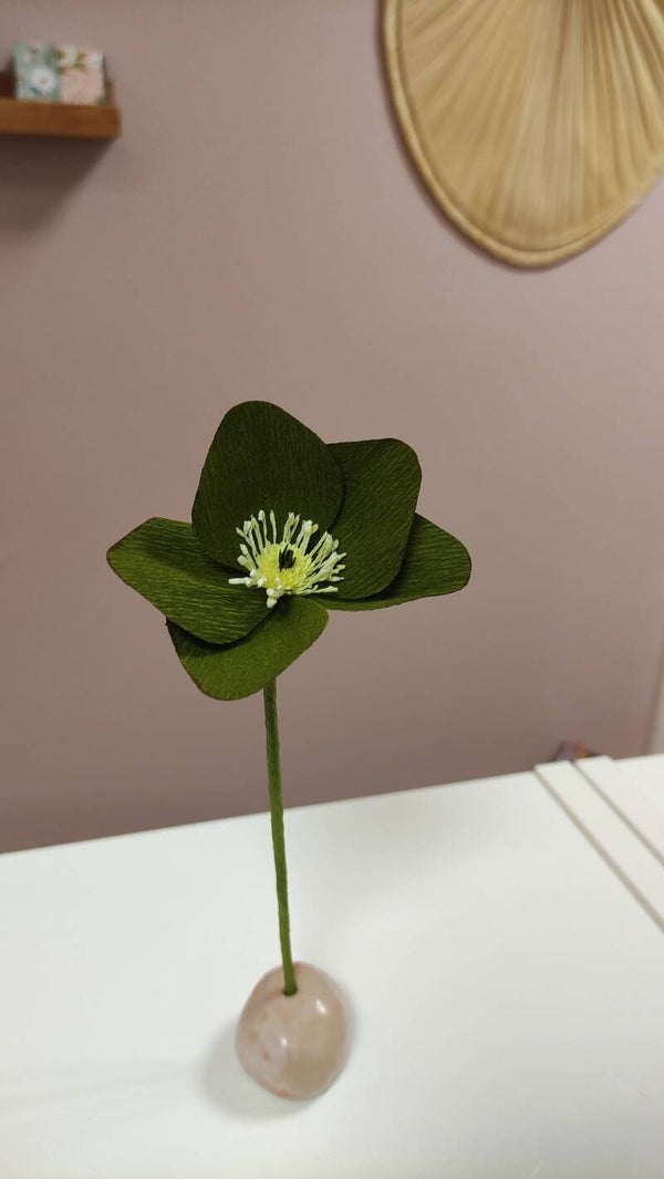 Kerst bloem Helleborus Groen