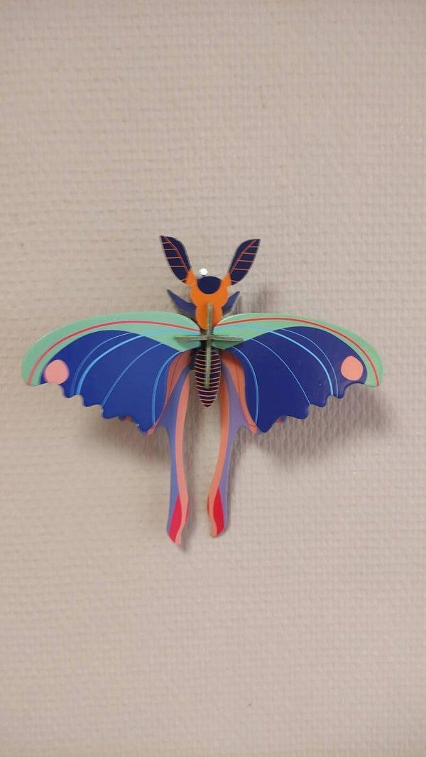 Studio Roof- Blue Comet Butterfly