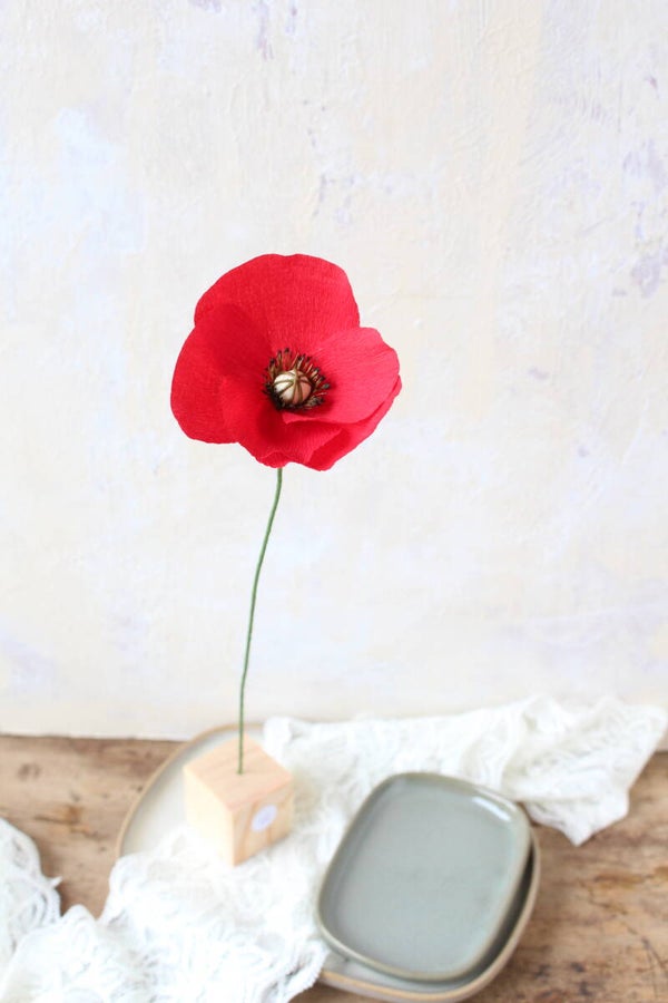 Mix & Match Klaproos 10