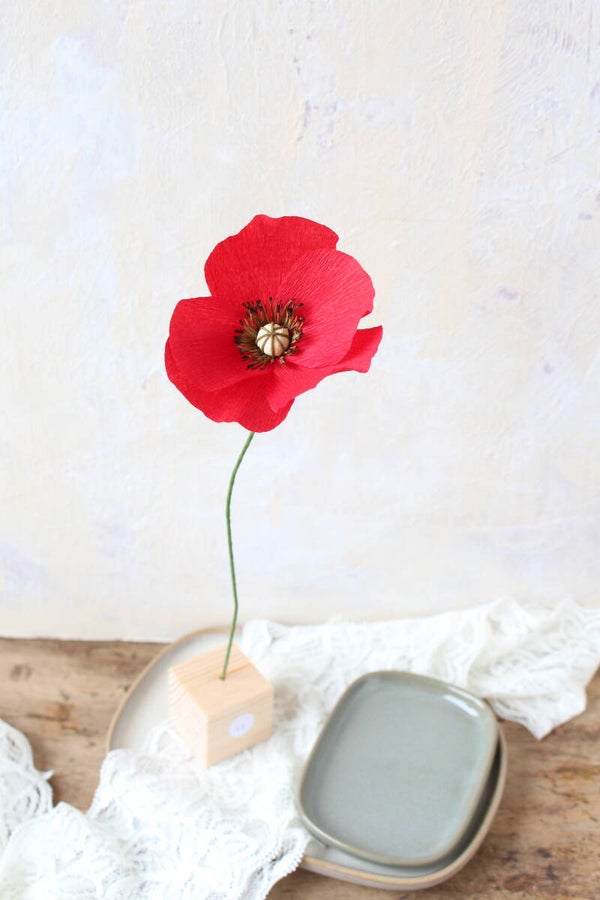 Mix & Match Klaproos 11