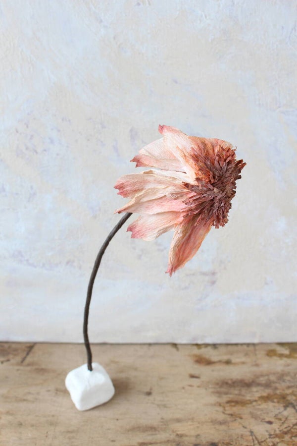 De schoonheid van verval 3