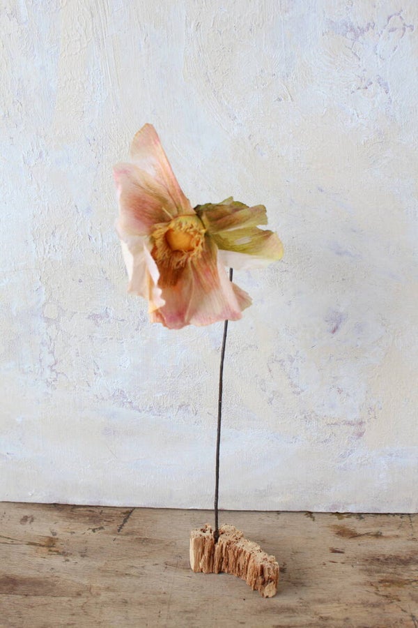 De schoonheid van verval 13