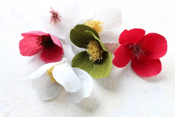 Herfstbloesem licht 2