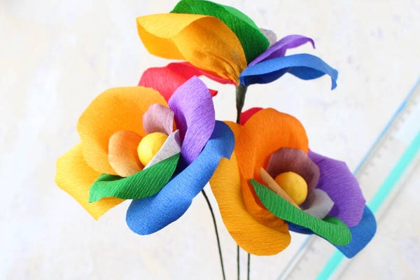 Drie regenboog bloemen