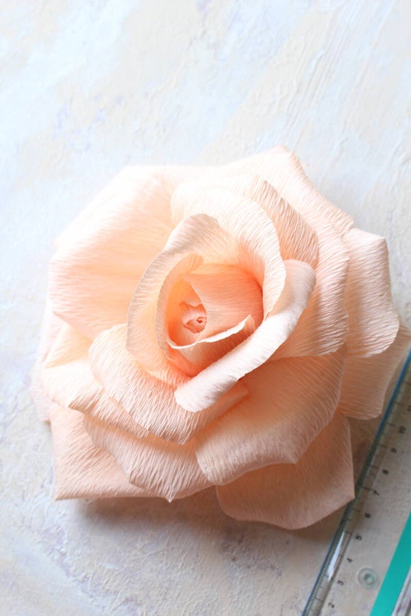 Tafelbloem licht roze / perzikkleur