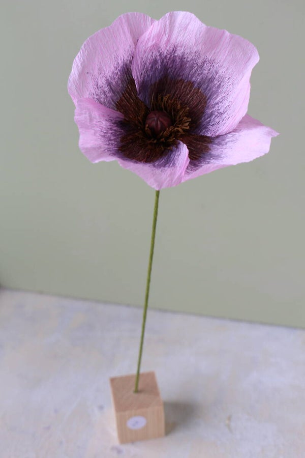 Mix & Match Klaproos 2