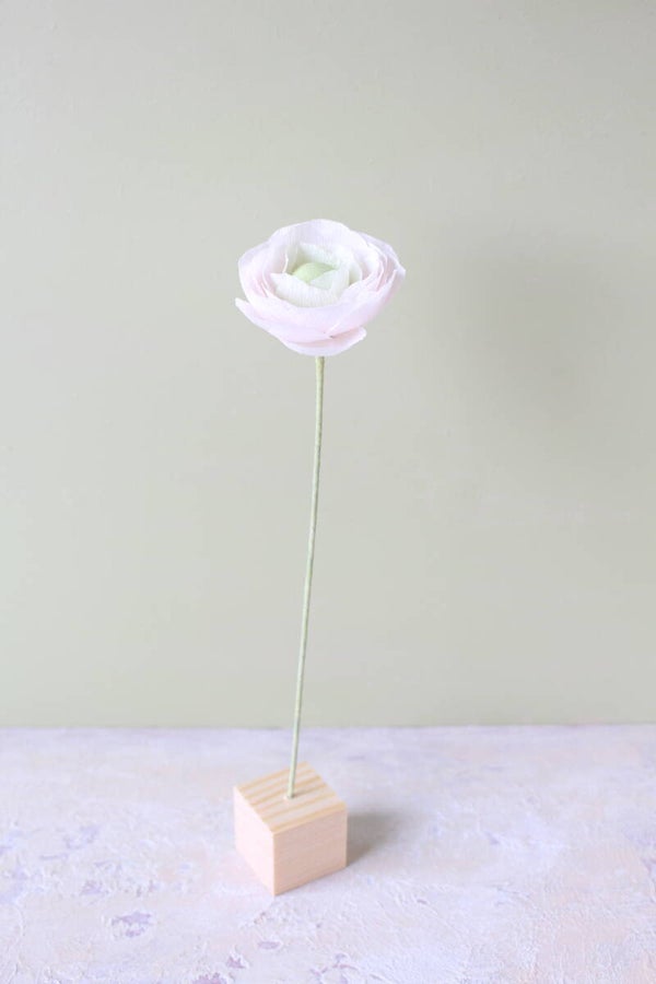 Mix & Match Ranonkel 3