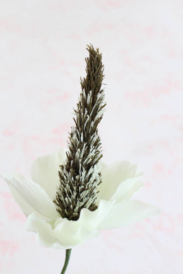 Mischa Bloem xl
