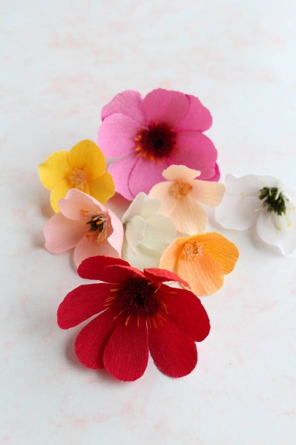 Propbloemen Zinnia 3