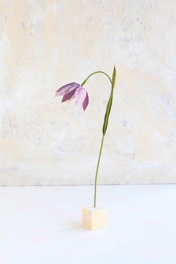 Kievietsbloem Paars 1