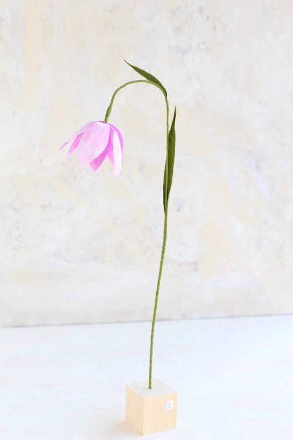 Kievietsbloem Roze 2