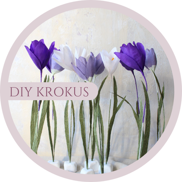 DIY- pakket Krokus