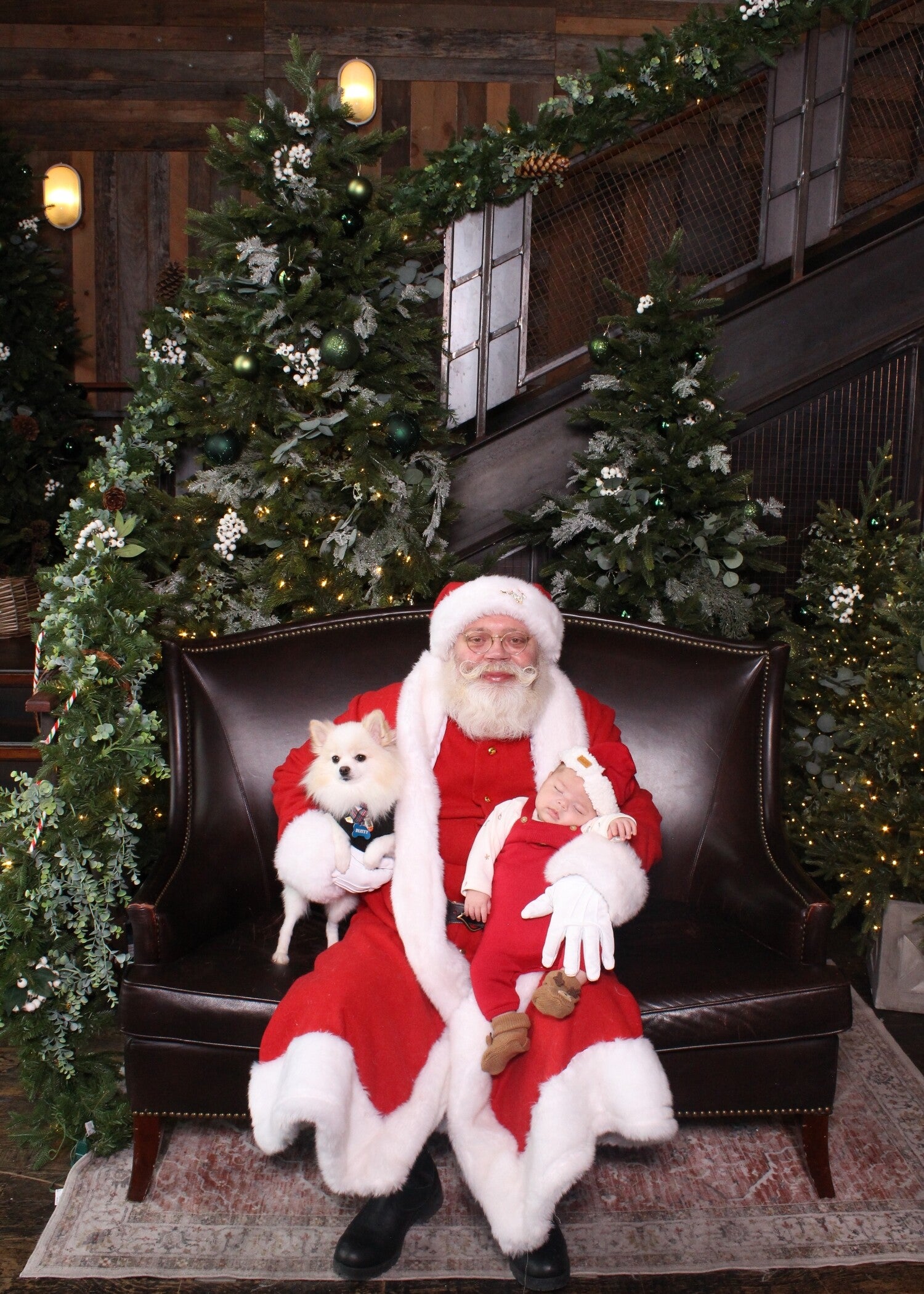 Santa with pets