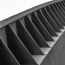 275_suarezc_7_1-standard.jpg